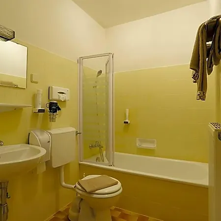 ホテル Alpen.adria.stadthotel 3*